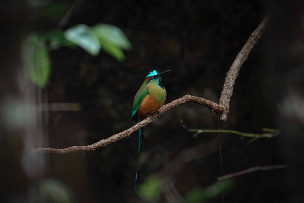 Est-il possible d'utiliser un Raspberry Pi comme serveur VPN personnel?