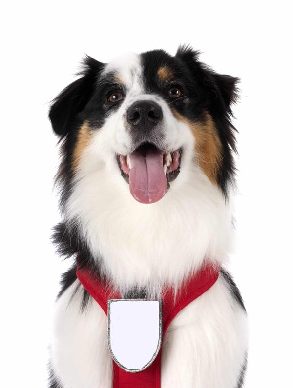 Quelles sont les options de customisation du Always On Display sur un Samsung Galaxy S22 Ultra?